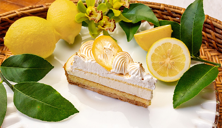 【新作・店舗限定】愛媛県今治市産 “越智今治レモン”のタルト