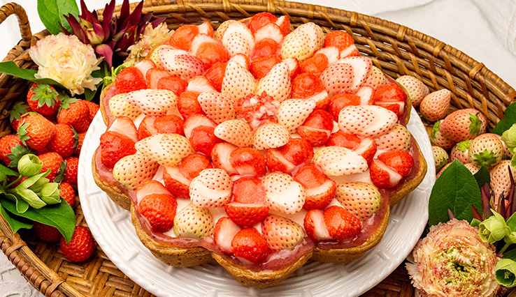 特選 白イチゴと“桃薫”のタルト 〜ロイヤルミルクティー風味〜