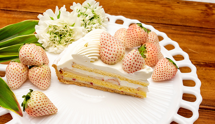 【店舗限定】特選 白イチゴ “初恋の香り”のショートケーキタルト