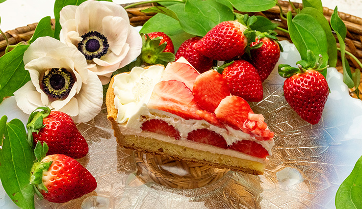 輪花型 福岡うるう農園産 “あまおう“のフリルクリームのタルト