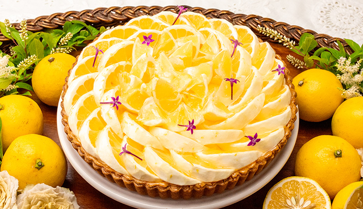 【店舗限定】神奈川県小田原市産 “ニューサマーオレンジ”のタルト