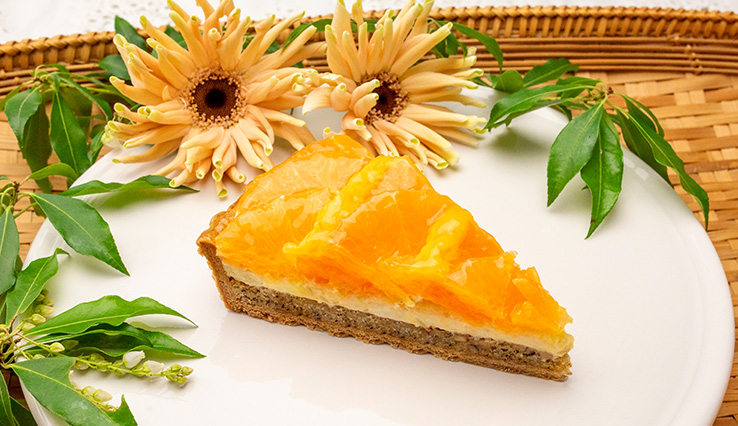 【店舗限定】佐賀県産 “にじゅうまる”のタルト